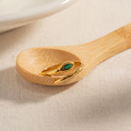 Anillo Indian Snake