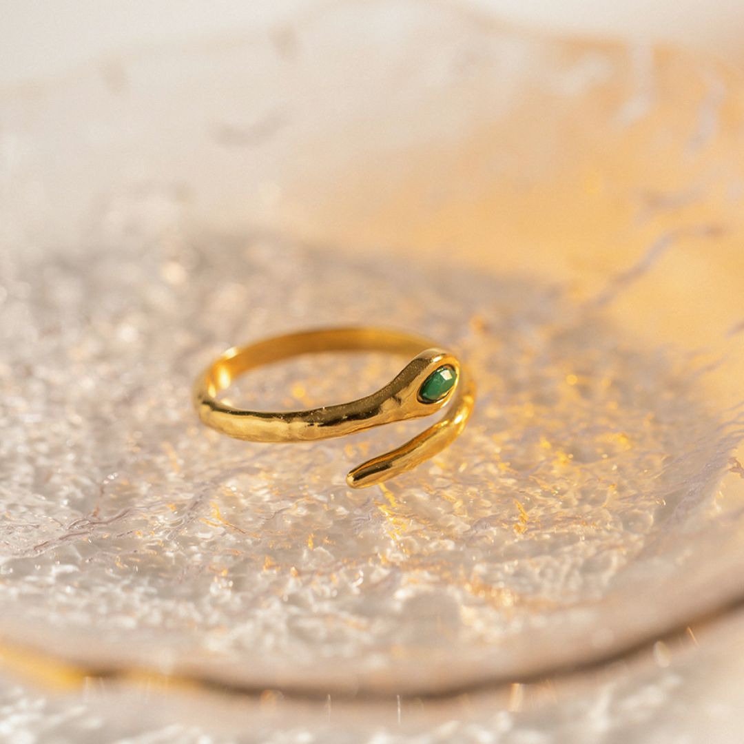 Anillo Indian Snake