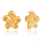 Aretes Serafina