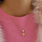 Collar Vida