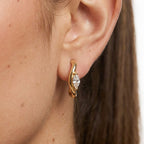 Aretes Prestige