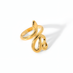ANILLO DEVORA