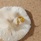 Anillo Cavelli