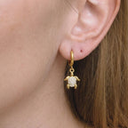 Aretes Tortoise
