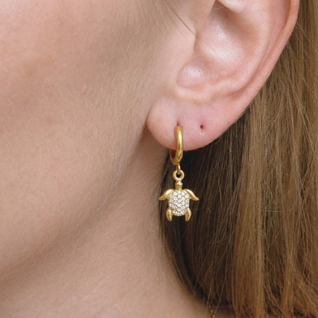 Aretes Tortoise