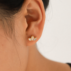 Aretes Set 3 Pz Naturia