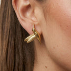 Aretes Colibri