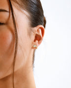 Aretes Dolphin