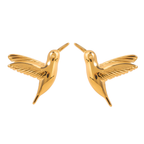 ARETES COLIBRI