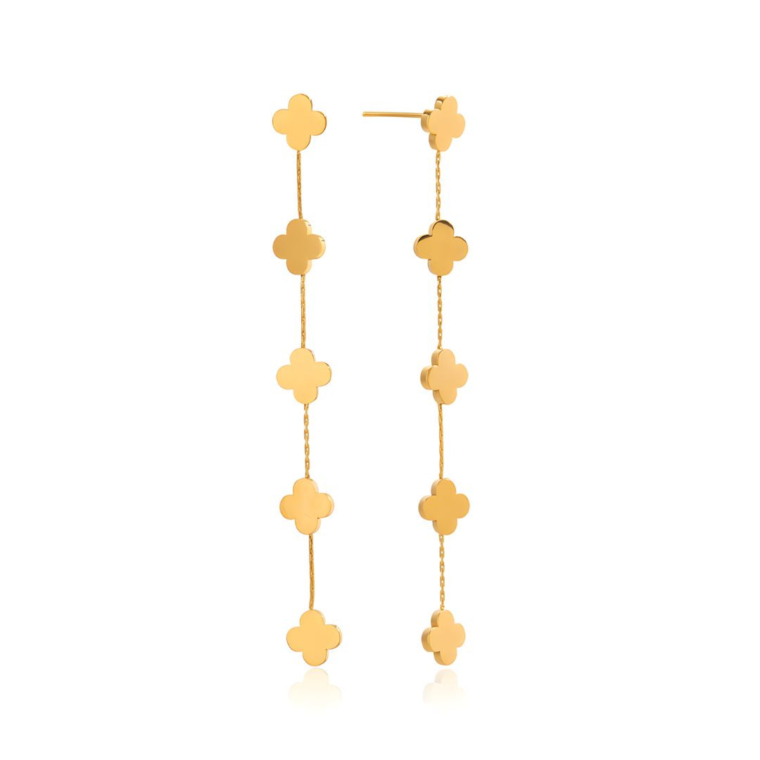 Aretes Inspiracion Van