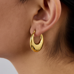 ARETES LUNATICA